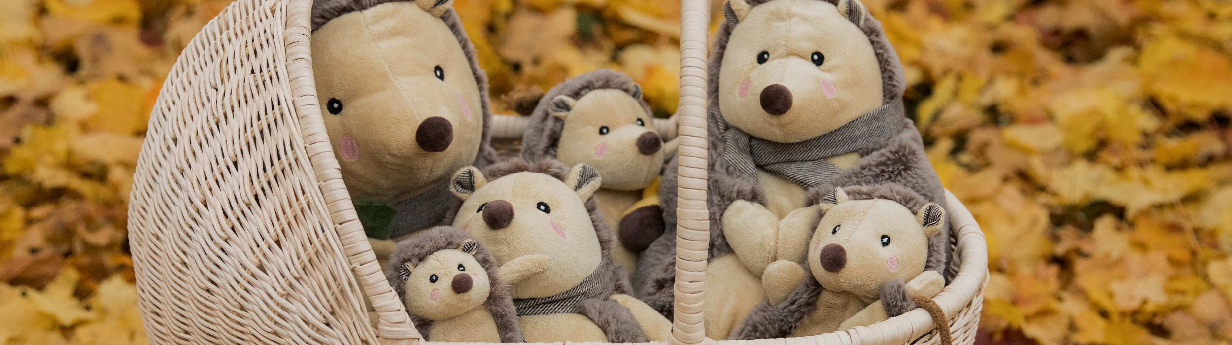 Igel Piksi Shopify